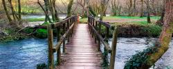 Foto noticia / Noticias Galicia