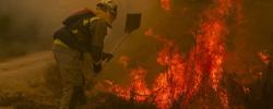 Foto noticia / ECOticias